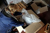 Oferta pracy w Holandii na wakacje przy pakowaniu, zbieraniu zamówień