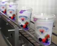 Pracownik produkcji dam fizyczną pracę w Holandii – produkcja jogurtów typu greckiego