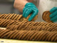 Fizyczna praca w Holandii od zaraz przy pakowaniu ciastek w fabryce Harderwijk 2019