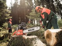 Austria praca fizyczna jako pilarz do porządkowania terenu po huraganie, Innsbruck