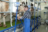 Sezonowa praca w Szwecji w rolnictwie jako dojarz-pracownik gospodarstwa rolnego 2019