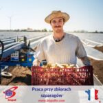 Zbiór szparagów – Francja praca sezonowa od zaraz, Miluza 2022