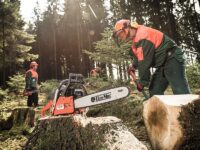 Praca we Francji od zaraz w leśnictwie jako drwal – pracownik obróbki drewna w Grand-Lemps