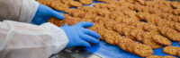 Produkcja, pakowanie ciasteczek od zaraz Holandia praca z językiem angielskim – różne lokalizacje
